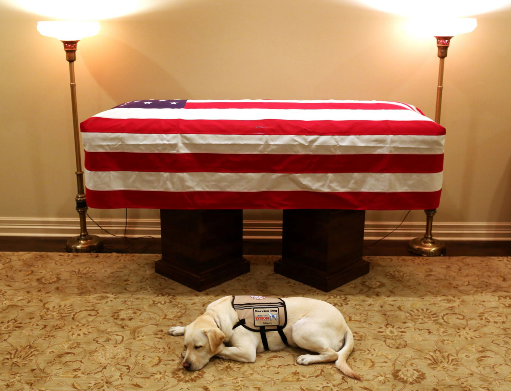 George HW Bush Service Dog